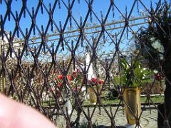 PELERINAGE A SAN DAMIANO  (66)